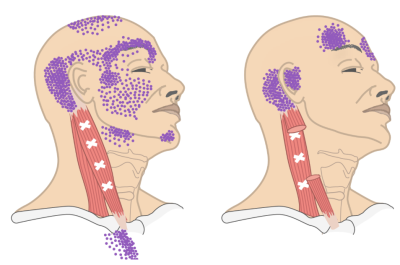 19bb177a_7115_4252_af45_a948bf043188.png