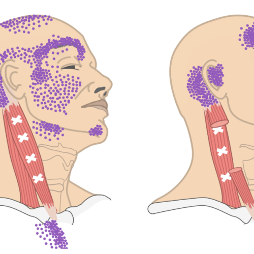 19bb177a_7115_4252_af45_a948bf043188.png